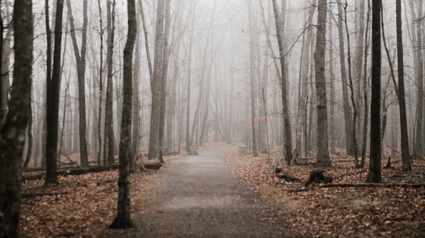 Image of 12 tips for writing a killer thriller