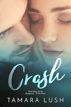Crash by Tamara Lush book cover