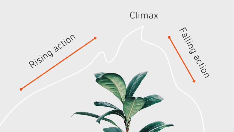 The Fichtean Curve: A Story in Crisis