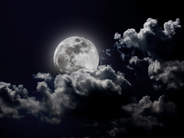 how to become a wattpad writer Into the Dark: A Creator Toolkit