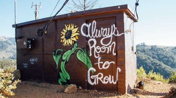 Writing stories about mental health: A passion and a mission